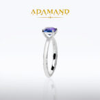 Adamand 1(1511)